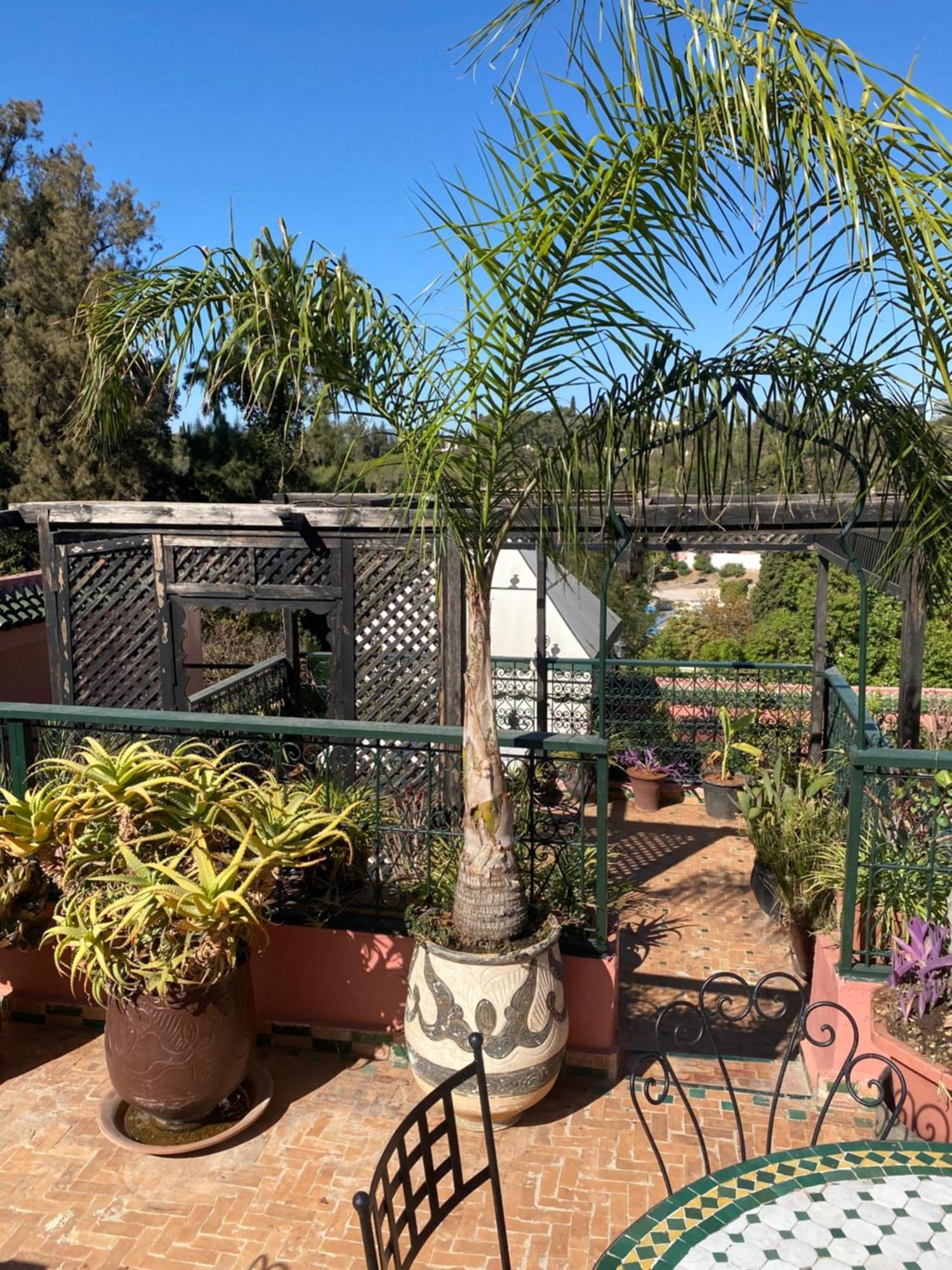 Riad Lahboul Meknès Exterior foto